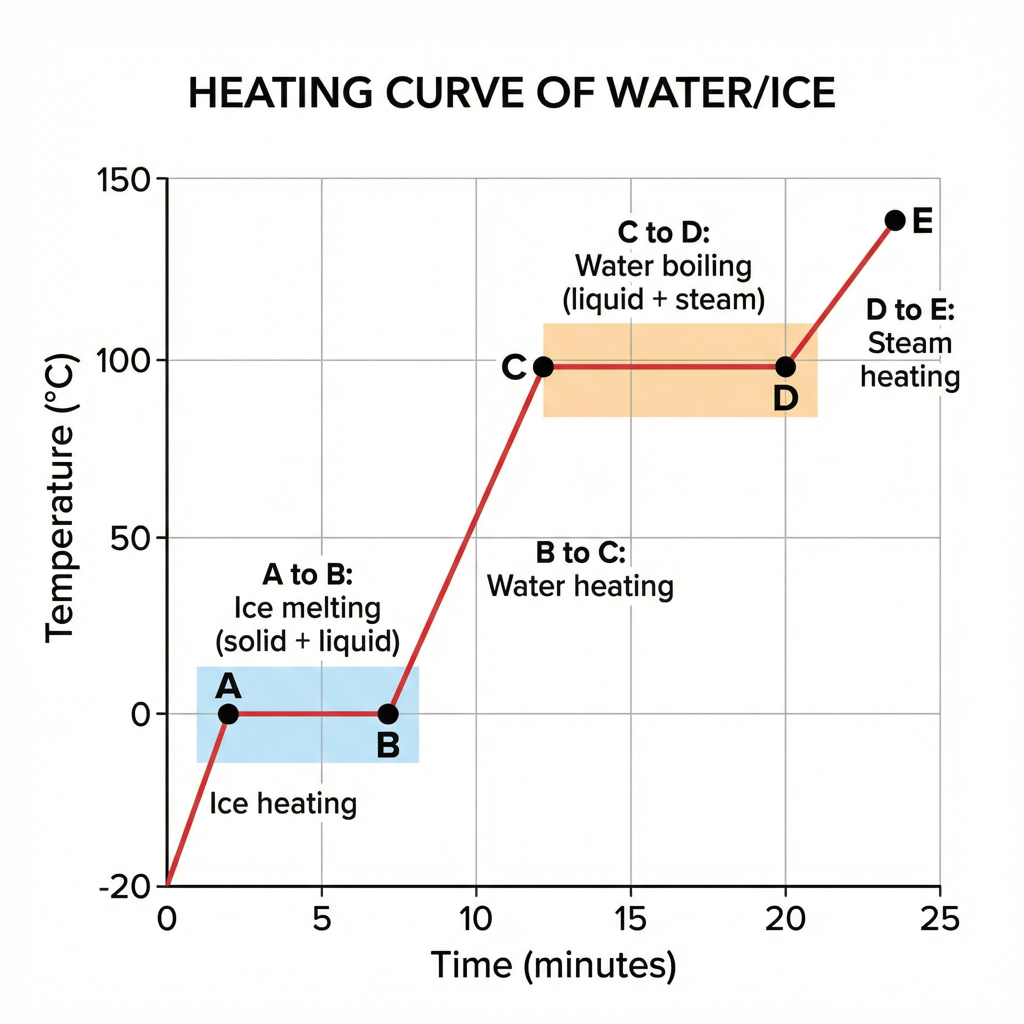 Heating curve of water showing temperature plateaus at 0&deg;C and 100&deg;C during phase changes