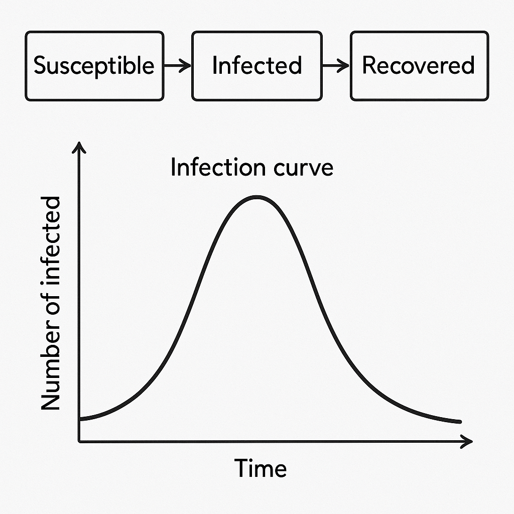 Analogy of model dynamics for participation curve