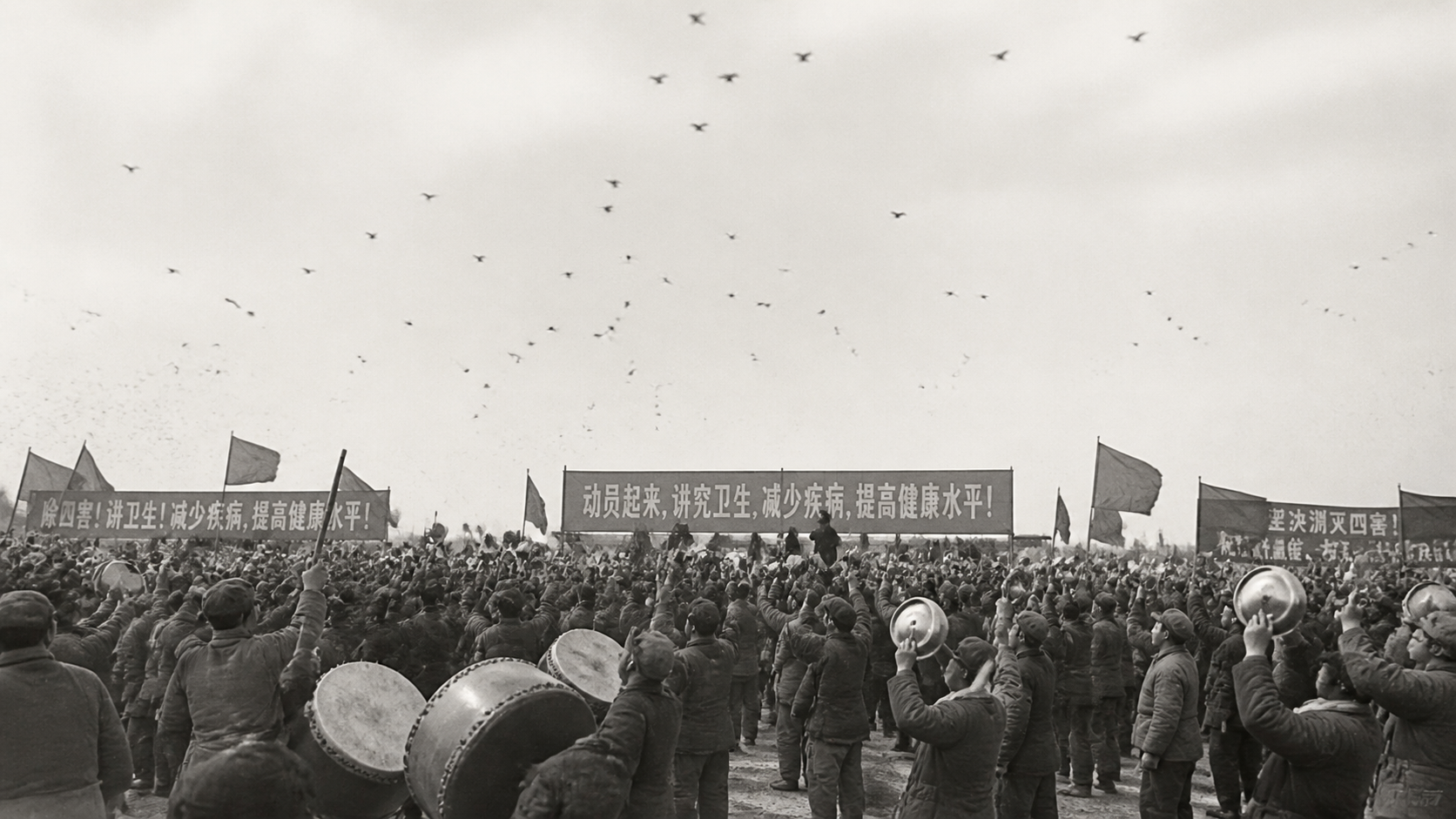 Silhouetted crowd mobilisation, citizens beating drums to drive sparrows from the sky, 1958