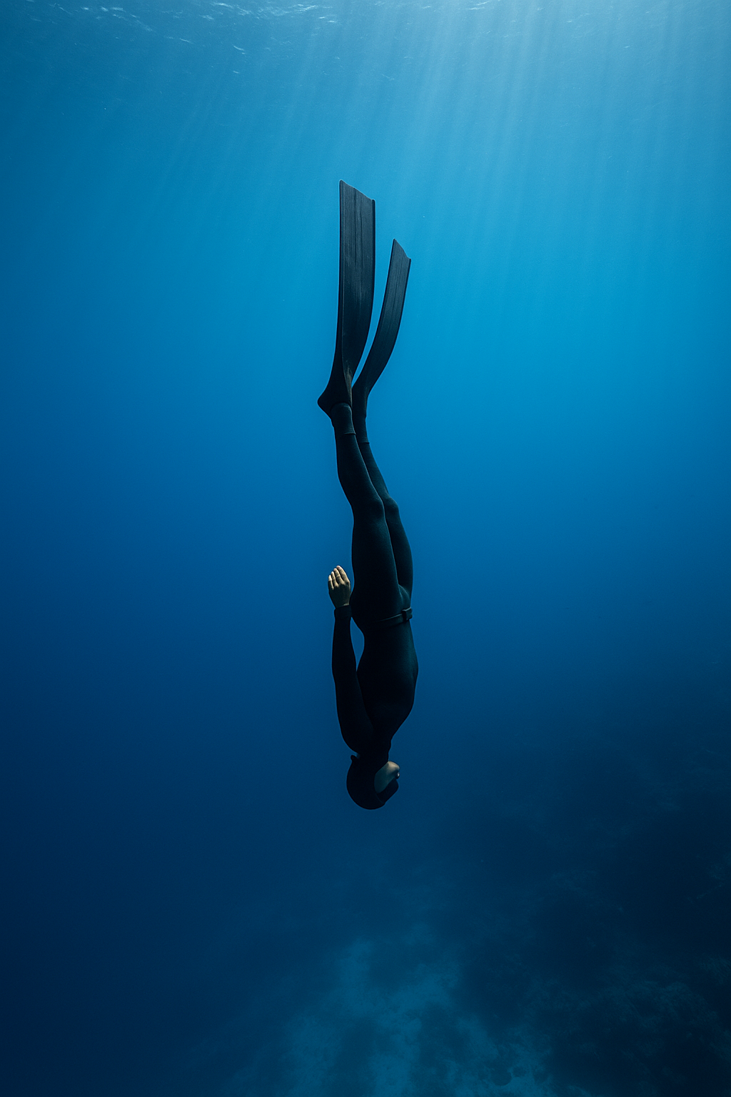 Freediver