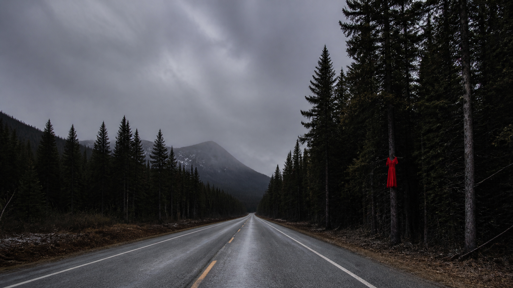 Empty Highway 16 stretching through boreal forest — a red dress memorial hangs from a tree at the roadside