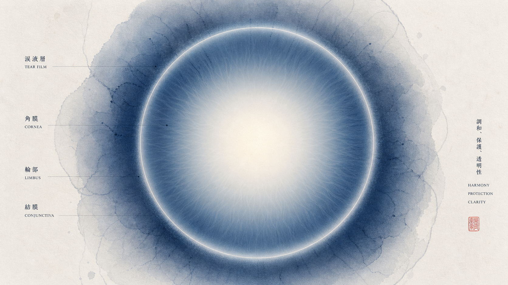 Ocular surface