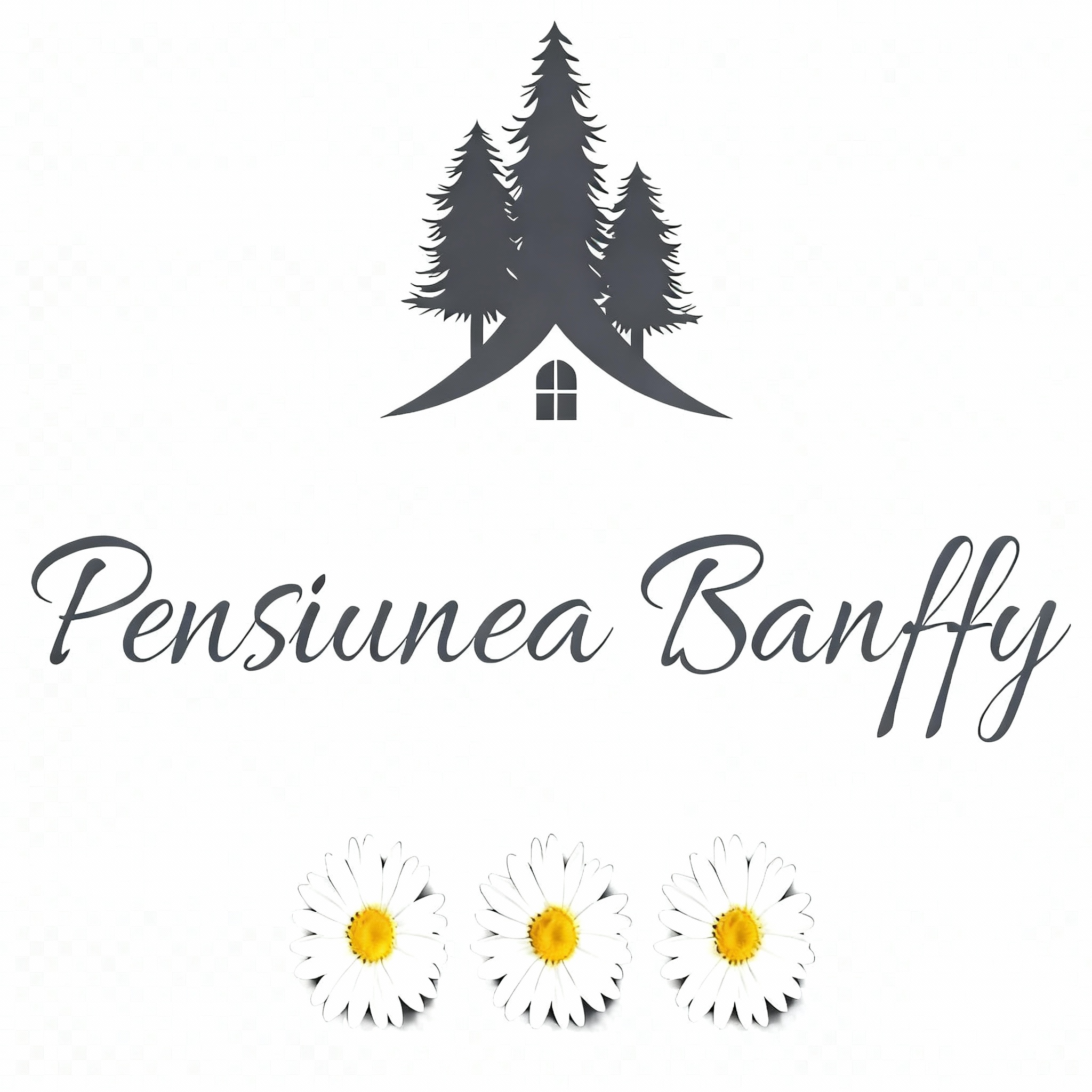 Pensiunea Banffy