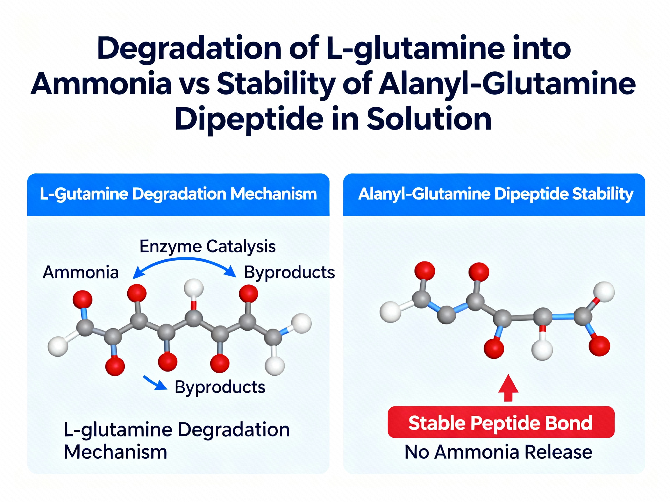 Stabilité chimique : L-glutamine vs Alanyl-Glutamine