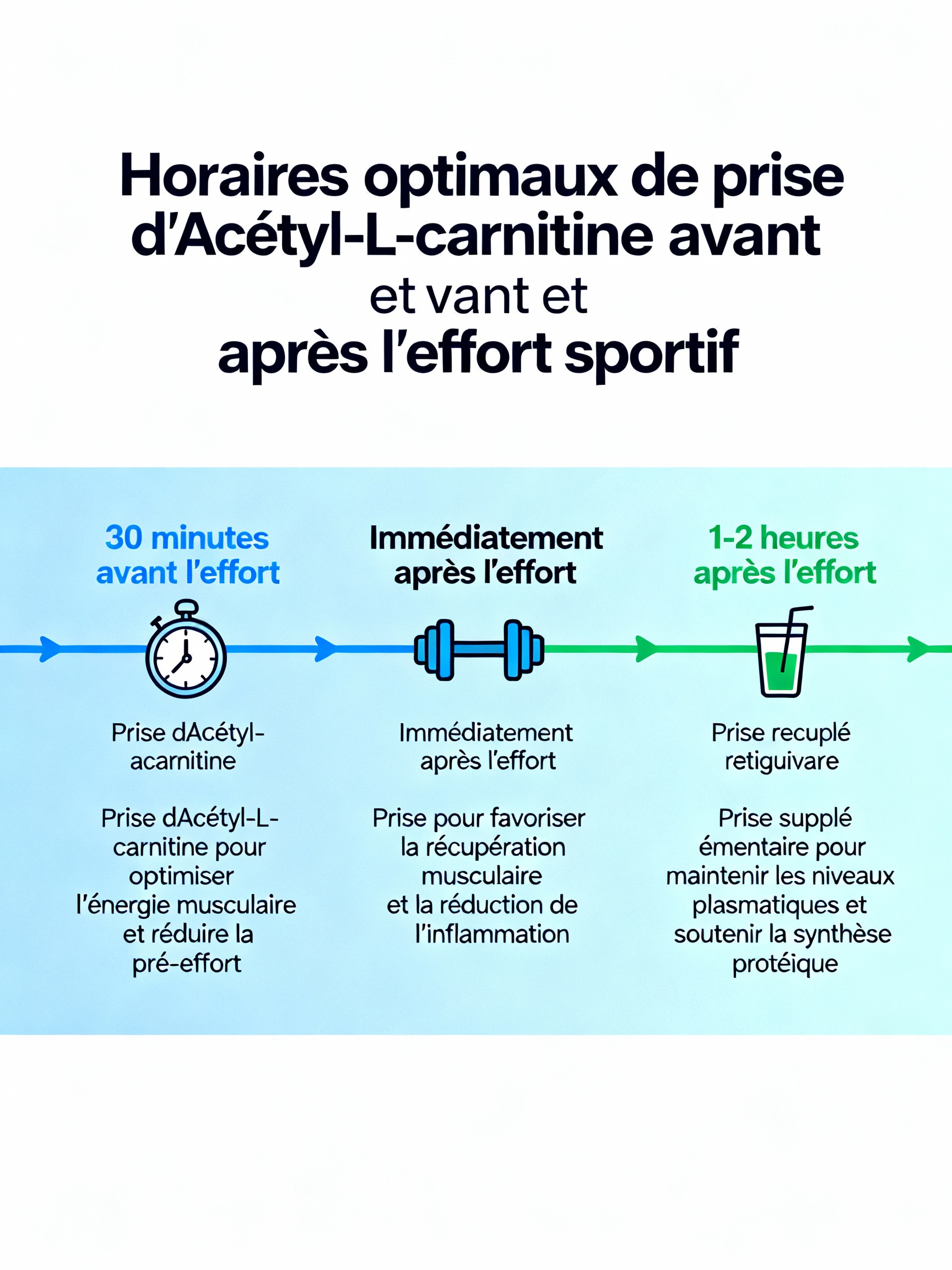 Timing optimal de prise d'Acétyl-L-carnitine